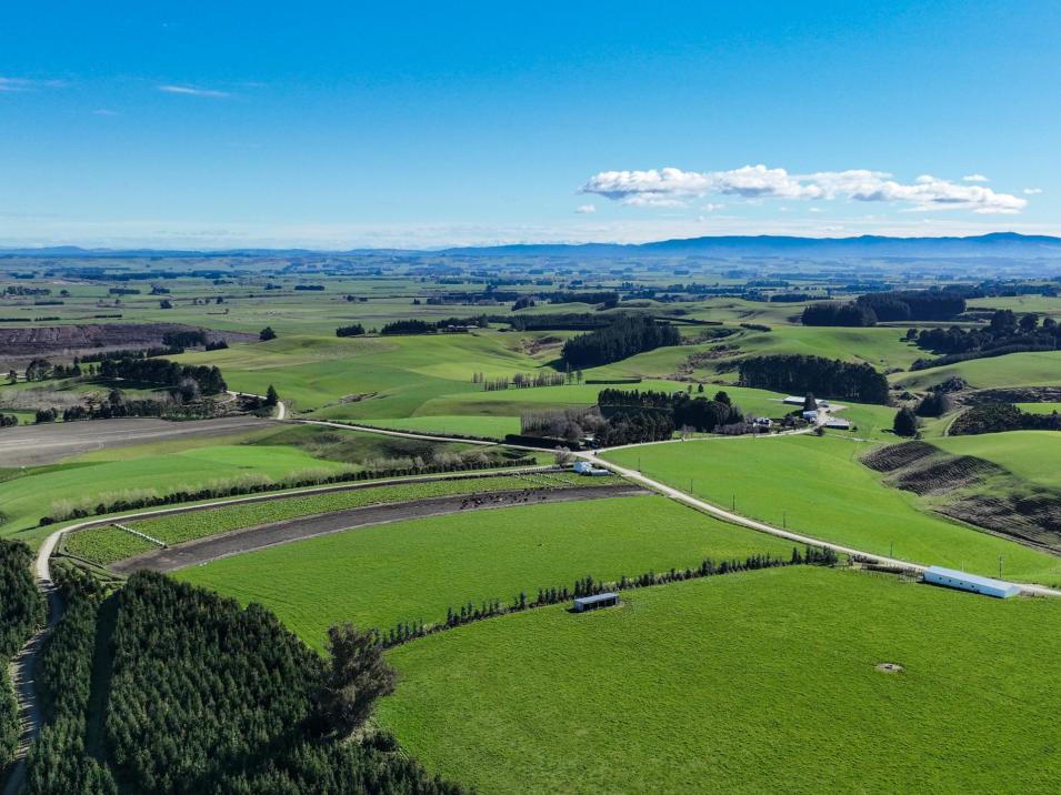 125B Davidson Road, Mimihau