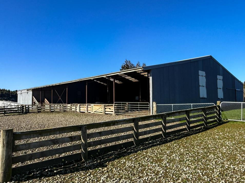 125B Davidson Road, Mimihau