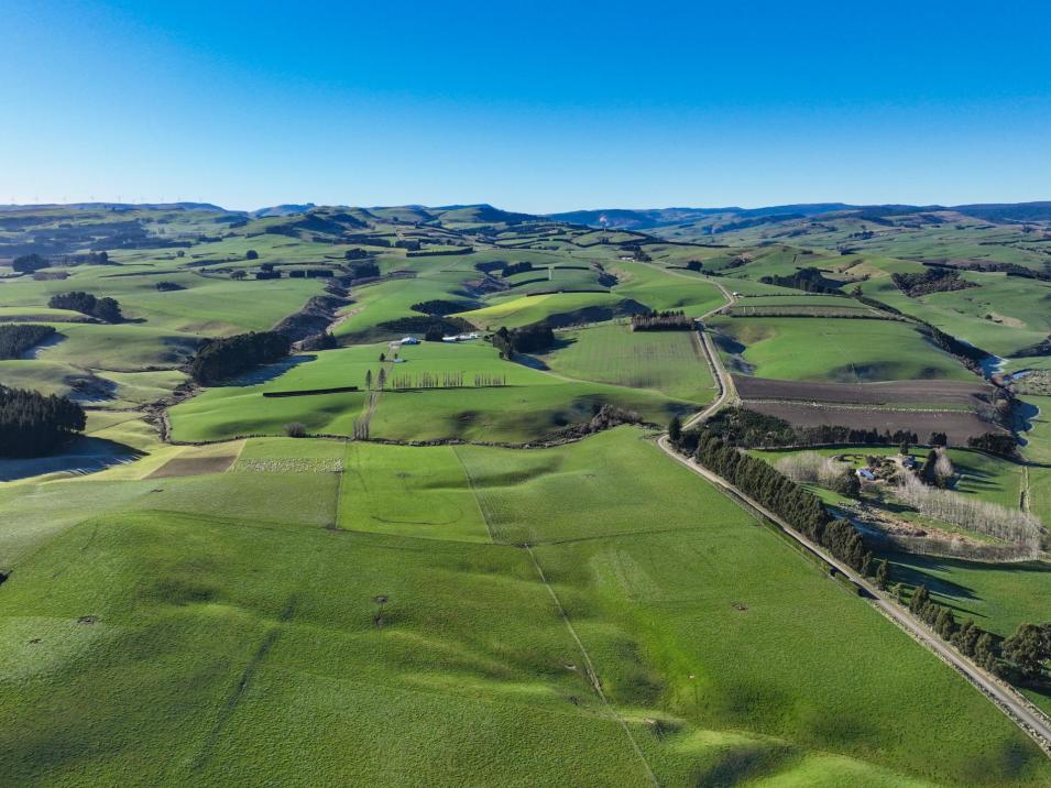 125B Davidson Road, Mimihau