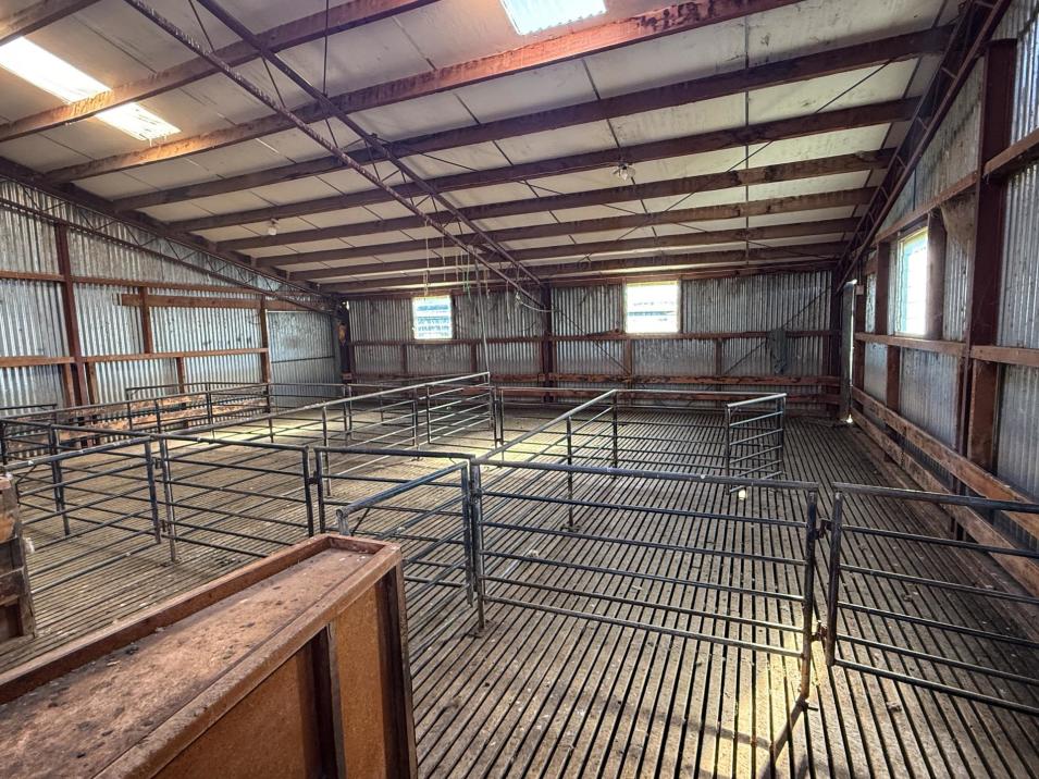 125B Davidson Road, Mimihau
