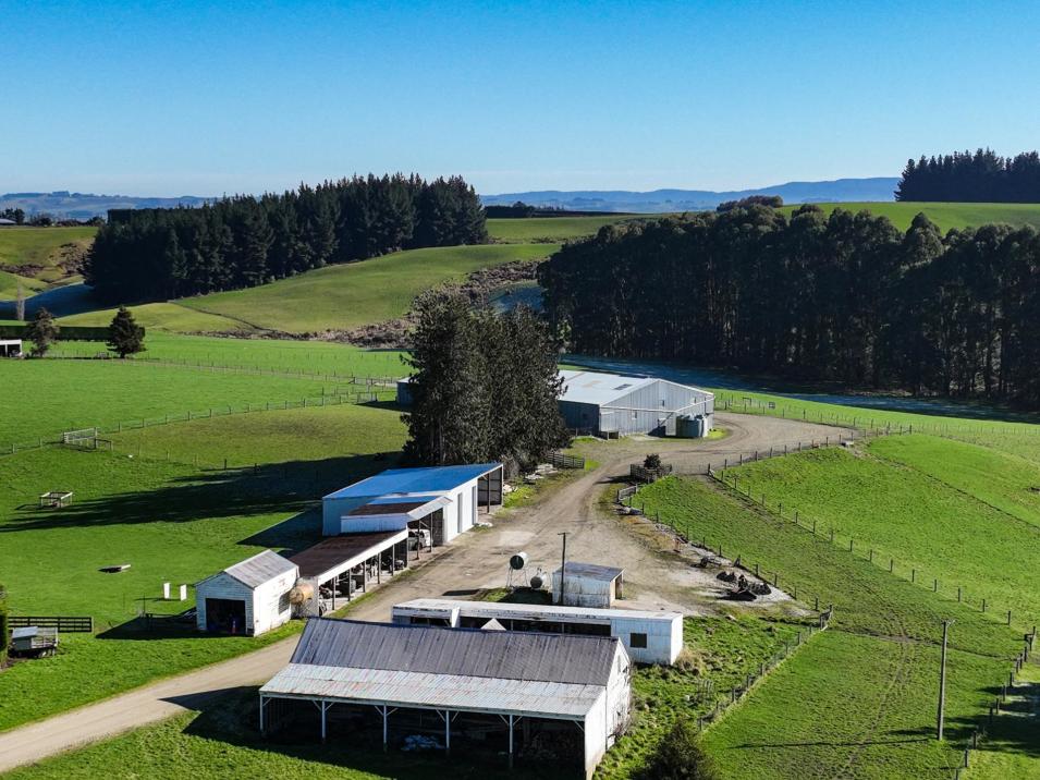 125B Davidson Road, Mimihau