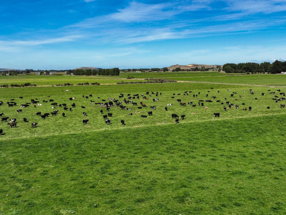 374 Winton Channel Road, Benmore