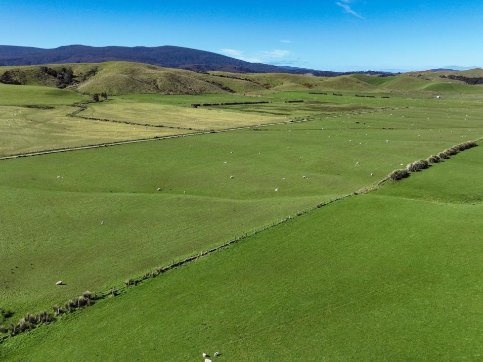 162 Jenkins Road, Tuatapere