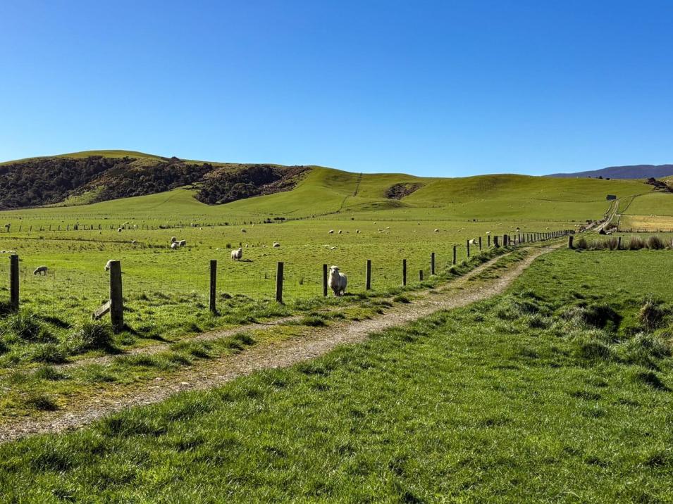 162 Jenkins Road, Tuatapere