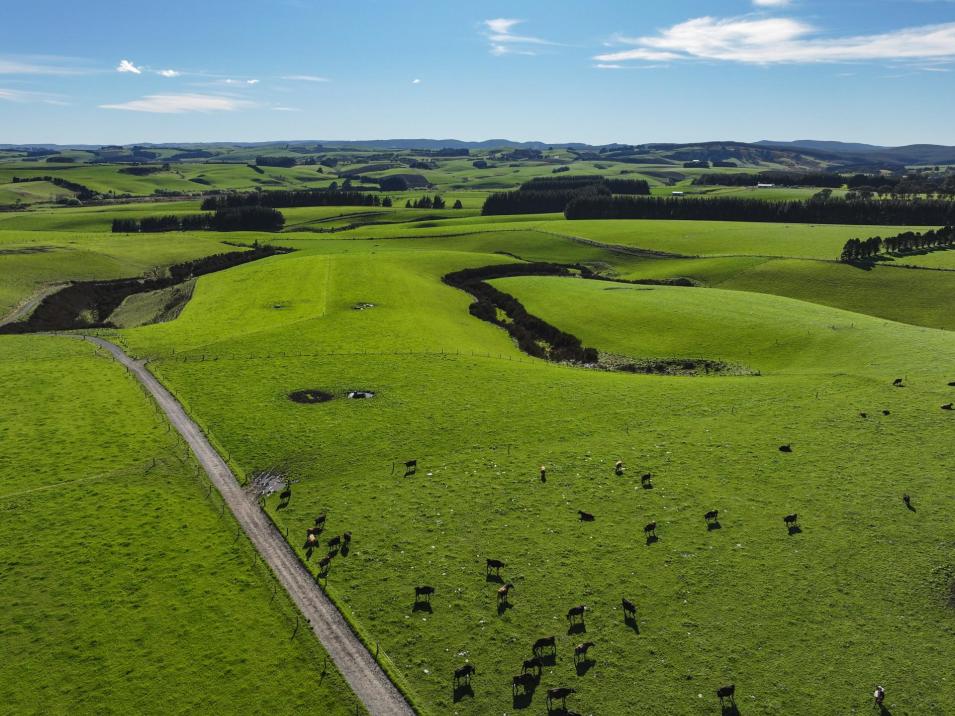 539. Mataura Island Fortrose Road, Pine Bush