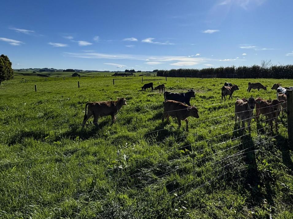 539. Mataura Island Fortrose Road, Pine Bush