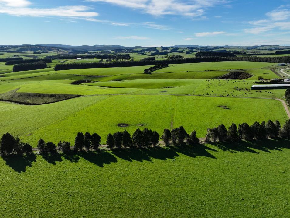 539 Mataura Island Fortrose Road and 104 Oliver Road, Pine Bush
