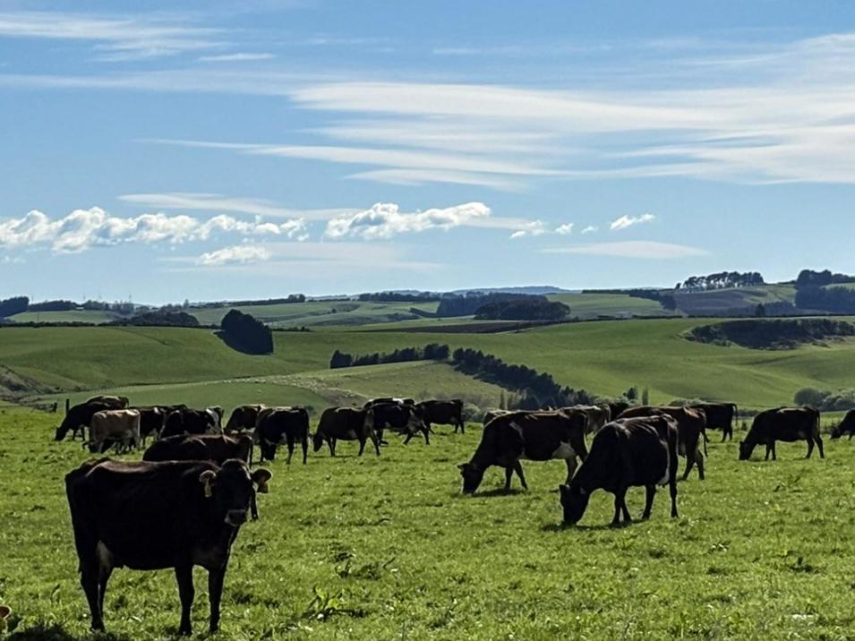 539 Mataura Island Fortrose Road and 104 Oliver Road, Pine Bush