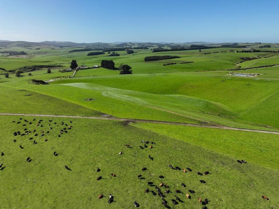 539 Mataura Island Fortrose Road and 104 Oliver Road, Pine Bush
