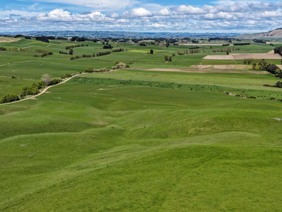 307 Okapua Road, Chatton North