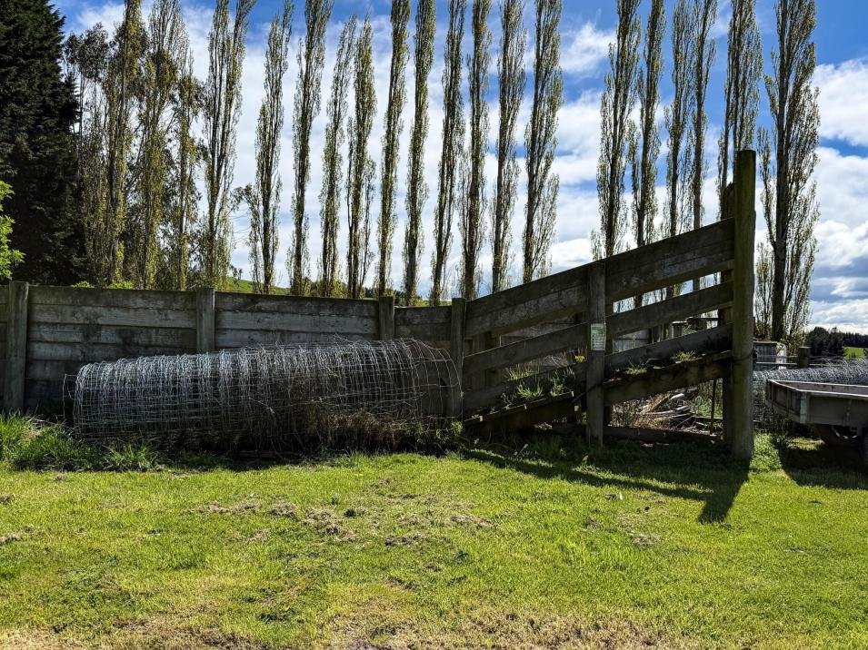 307 Okapua Road, Chatton North