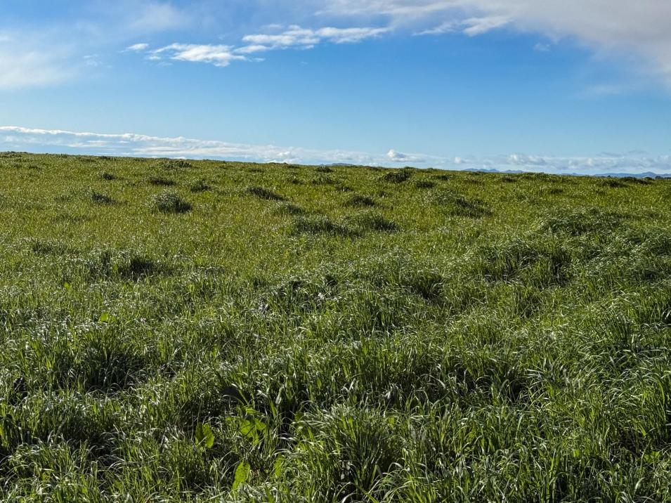 21 East Chatton Road, Maitland