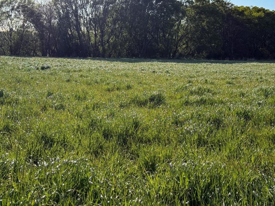 21 East Chatton Road, Maitland