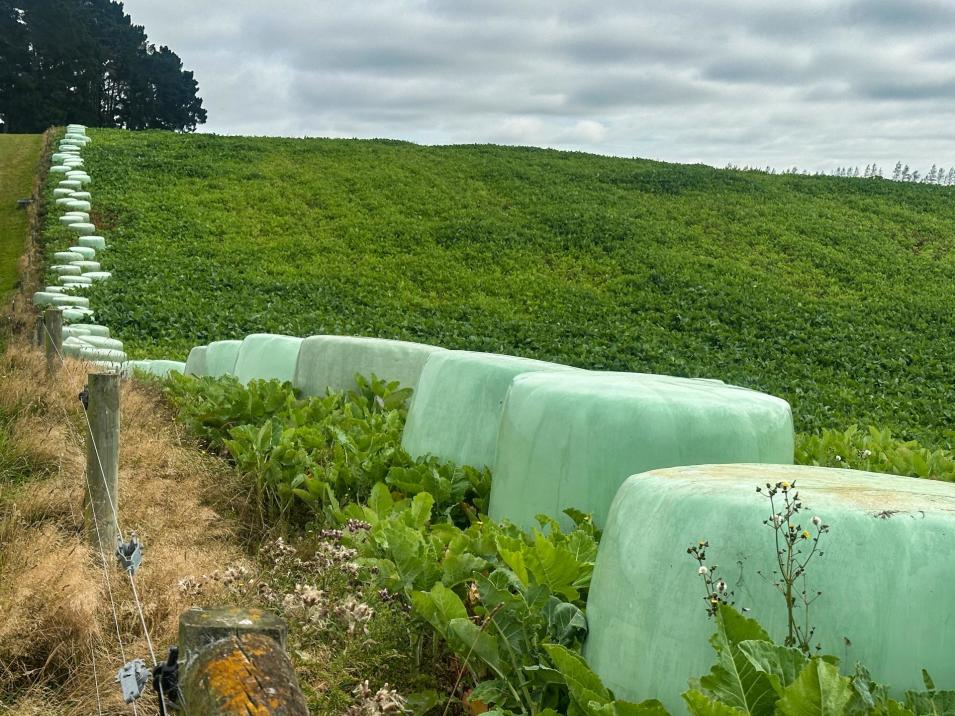 21 East Chatton Road, Maitland