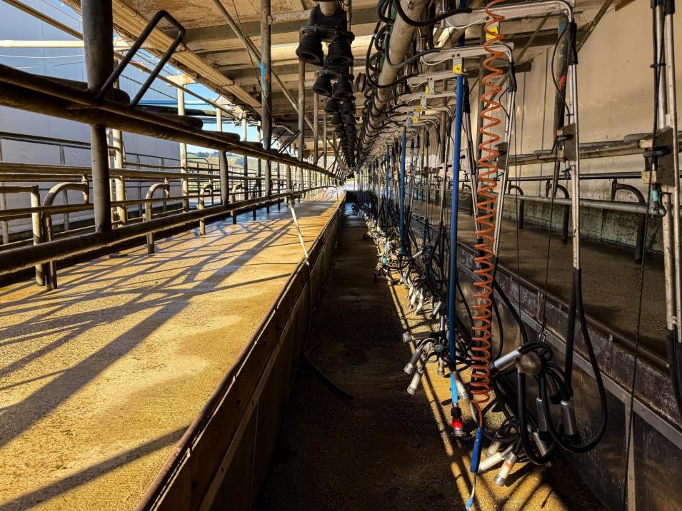 403 Island Edendale Road, Menzies Ferry