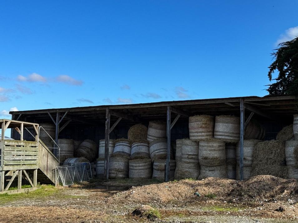 403 Island Edendale Road, Menzies Ferry