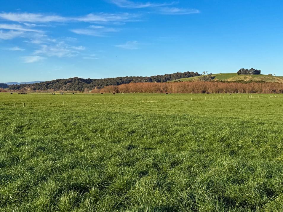 671 Island Edendale Road, Wyndham