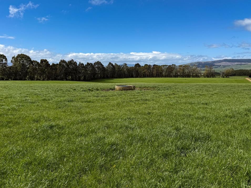 473 Clifden Gorge Road, Eastern Bush