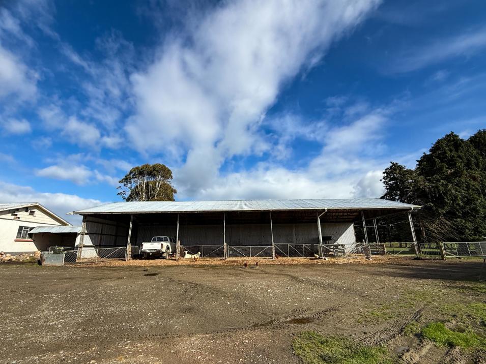 473 Clifden Gorge Road, Eastern Bush