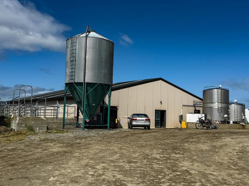 473 Clifden Gorge Road, Eastern Bush