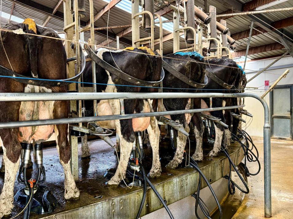 473 Clifden Gorge Road, Eastern Bush