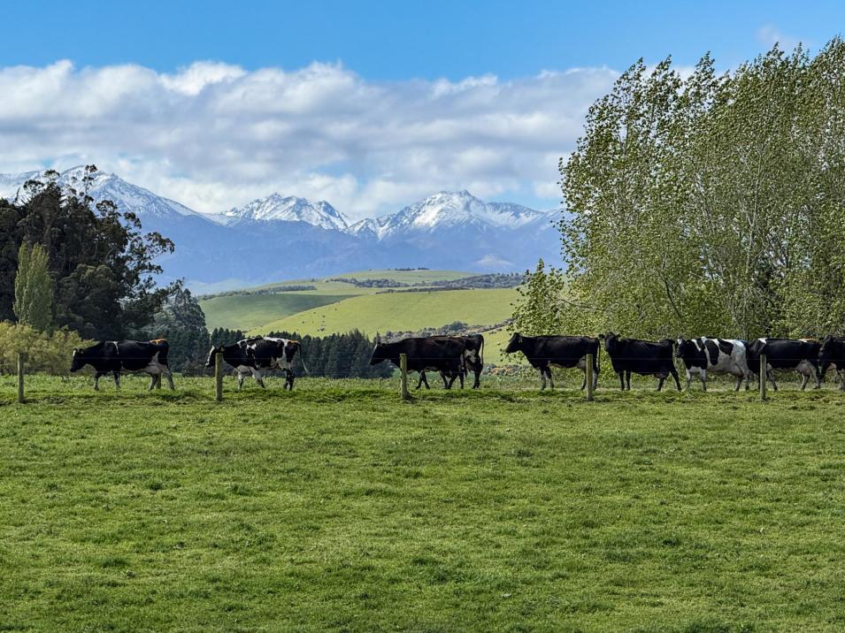 473 Clifden Gorge Road, Eastern Bush