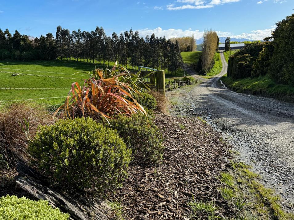 473 Clifden Gorge Road, Eastern Bush