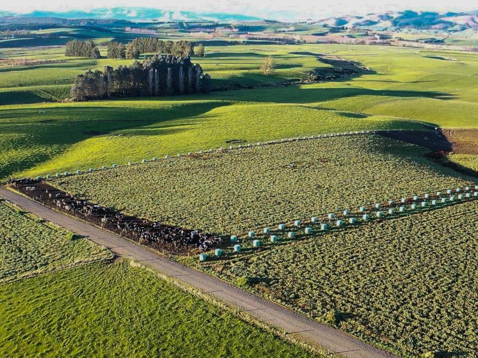 473 Clifden Gorge Road, Eastern Bush