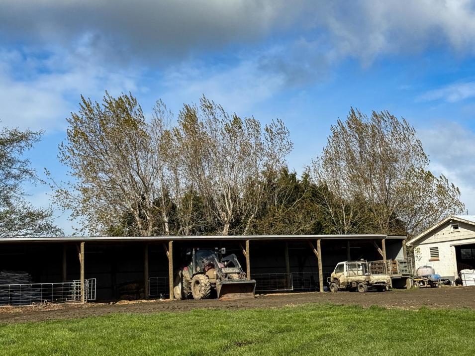 473 Clifden Gorge Road, Eastern Bush