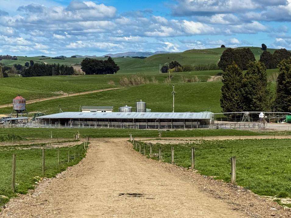 316 McDonald Road, Pukerau