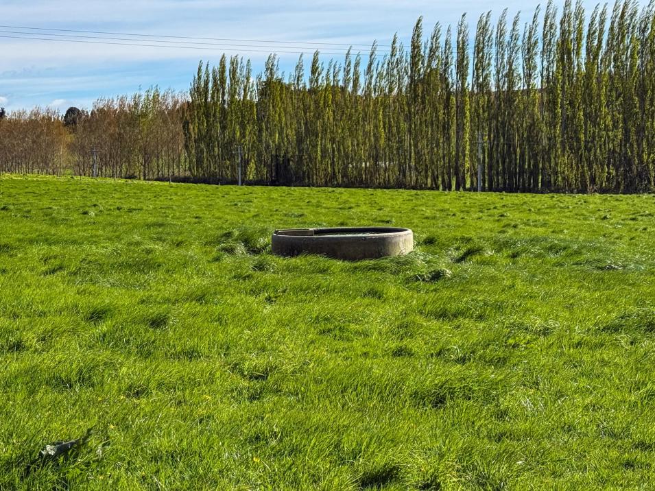 316 McDonald Road, Pukerau