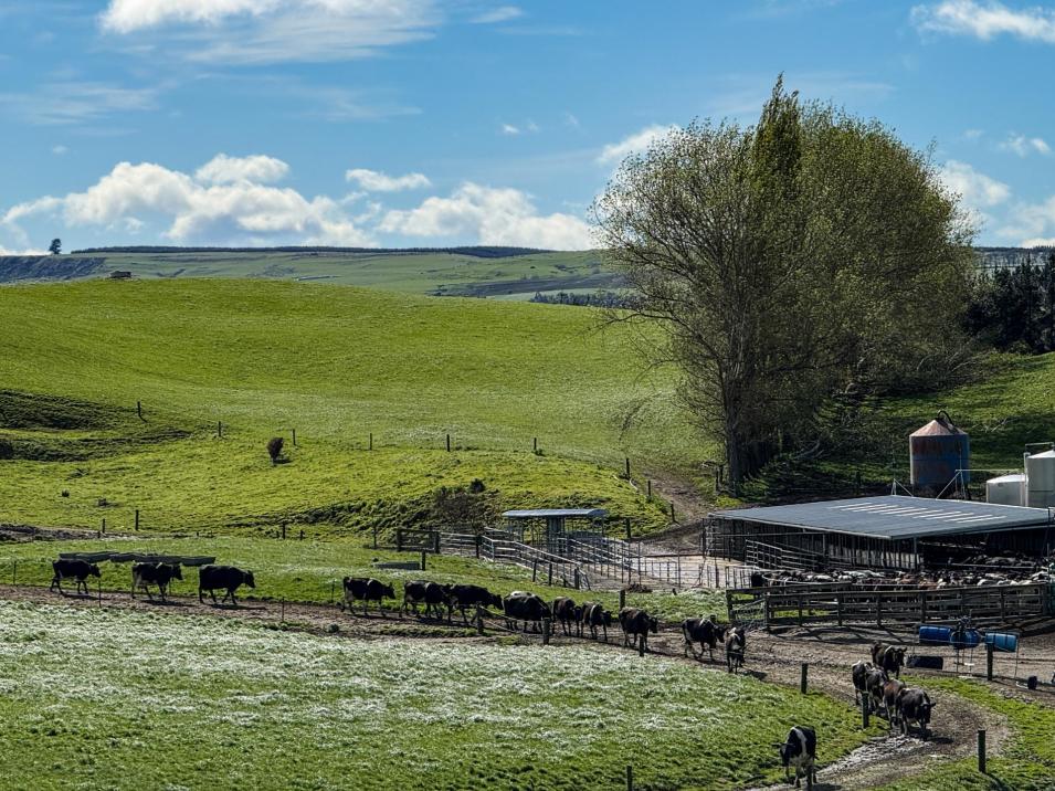316 McDonald Road, Pukerau