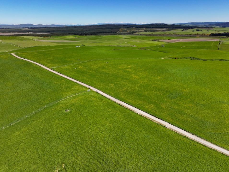 461 Cross Road, Pebbly Hill