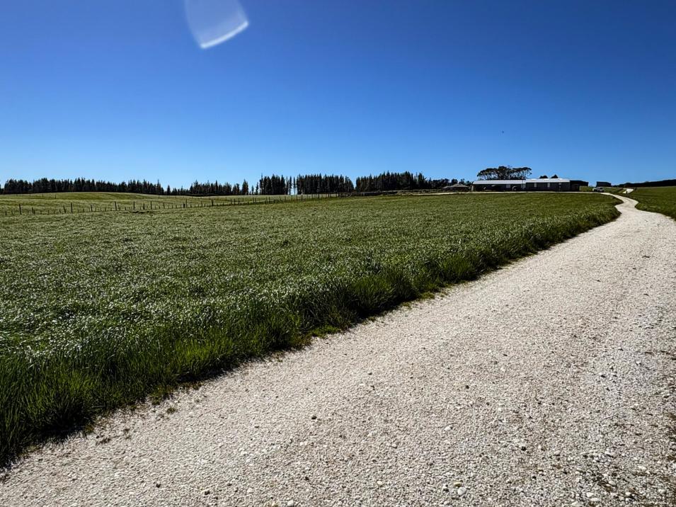 461 Cross Road, Pebbly Hill