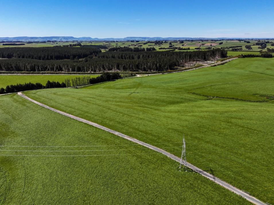 461 Cross Road, Pebbly Hill