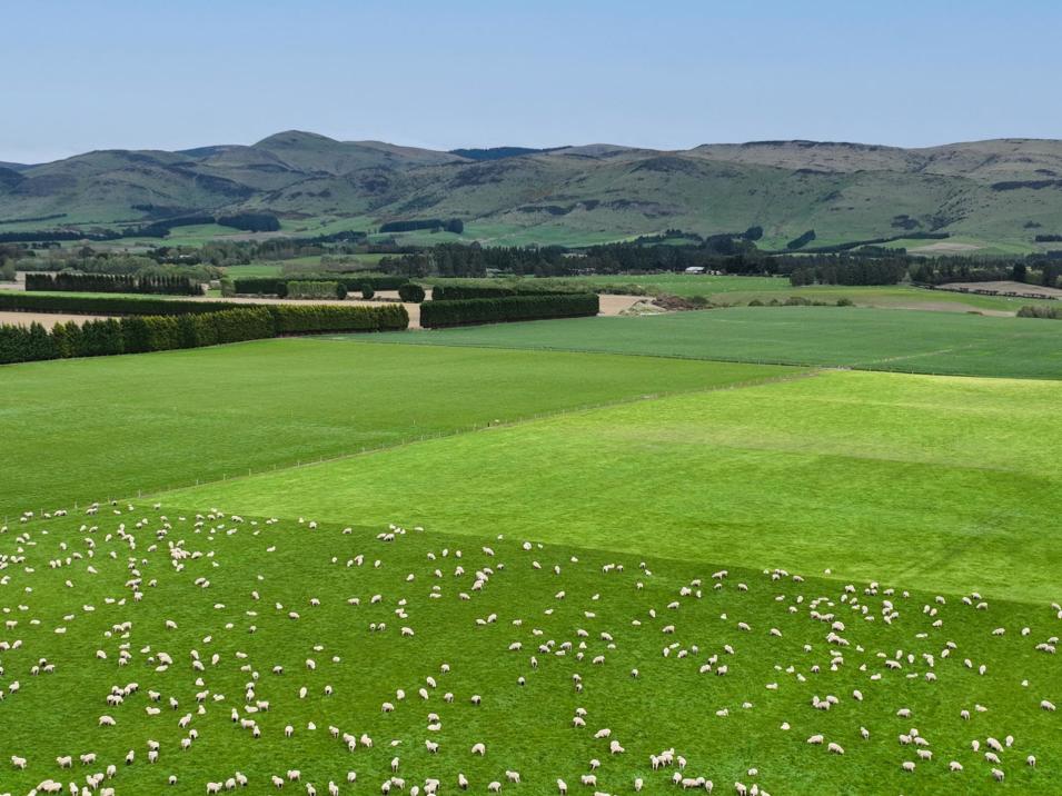 . Warr Road, Balfour