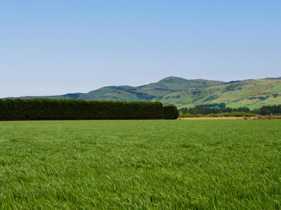 . Warr Road, Balfour