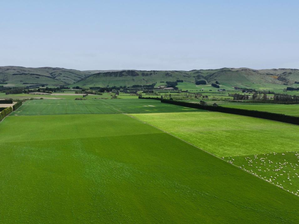 . Warr Road, Balfour