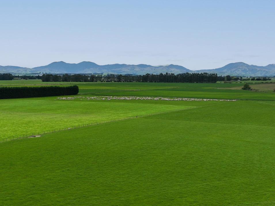 . Warr Road, Balfour