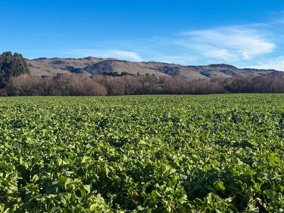 130 Warr Road, Balfour