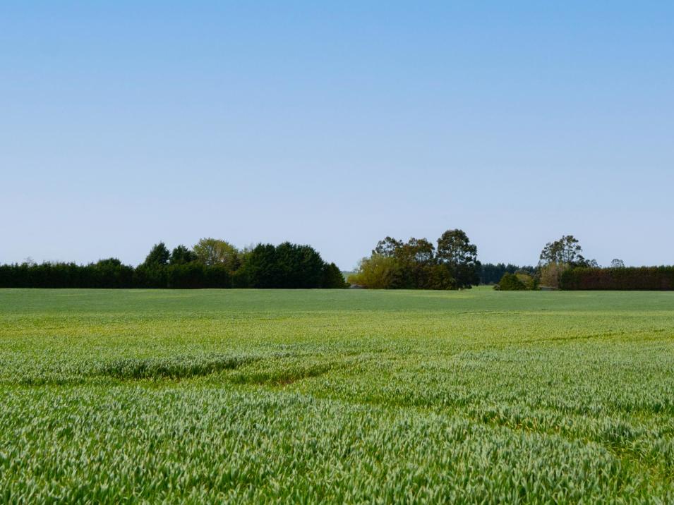 130 Warr Road, Balfour