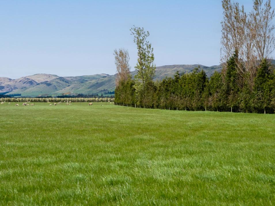 130 Warr Road, Balfour