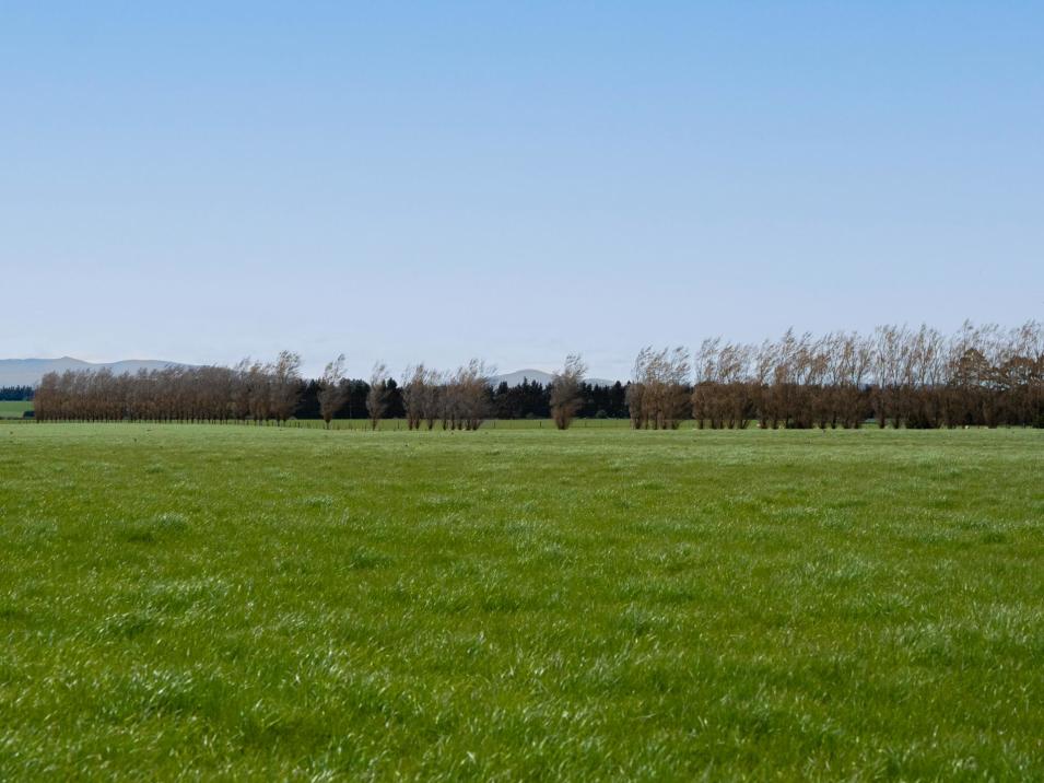 130 Warr Road, Balfour