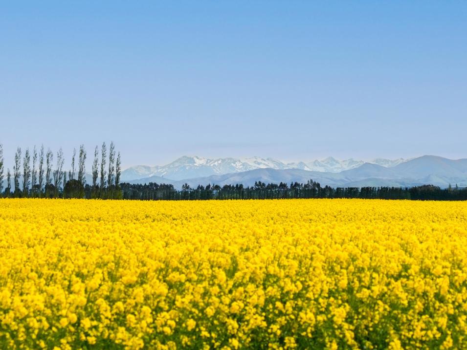 130 Warr Road, Balfour