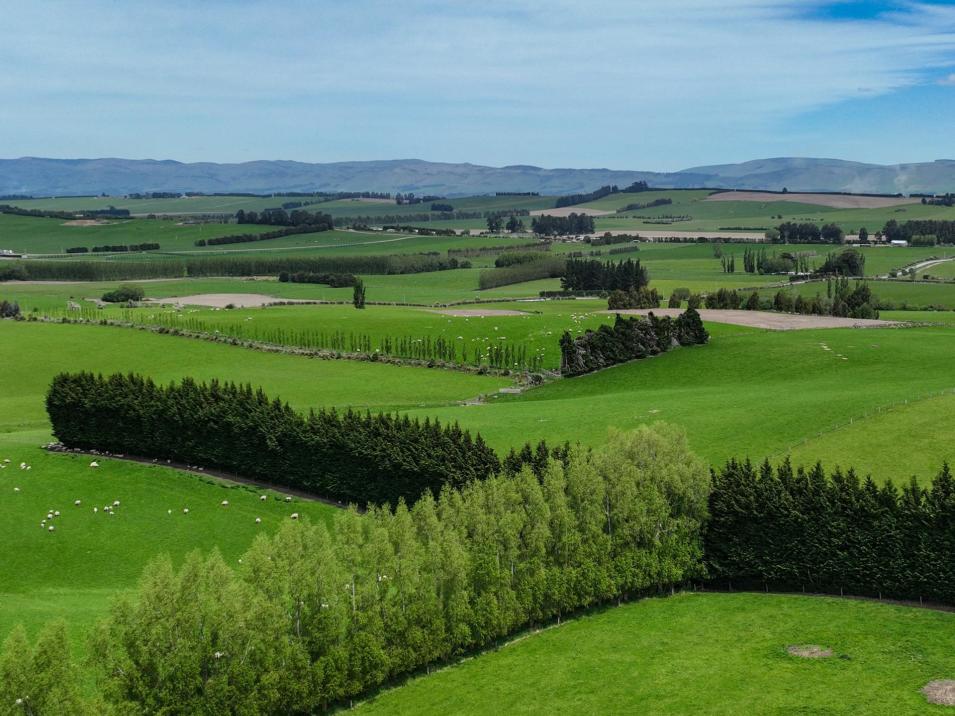 159 Ardlussa Road, Longridge North