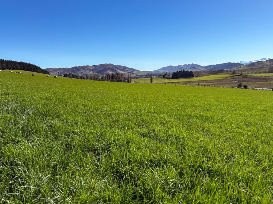 242 Caroline Valley Road, Caroline