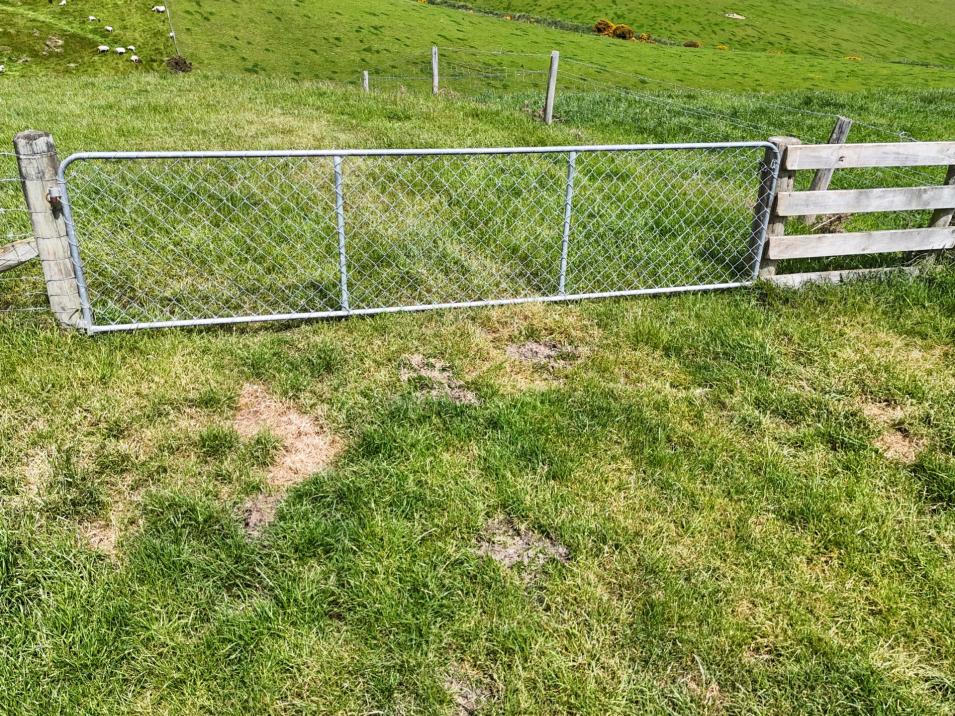 242 Caroline Valley Road, Caroline