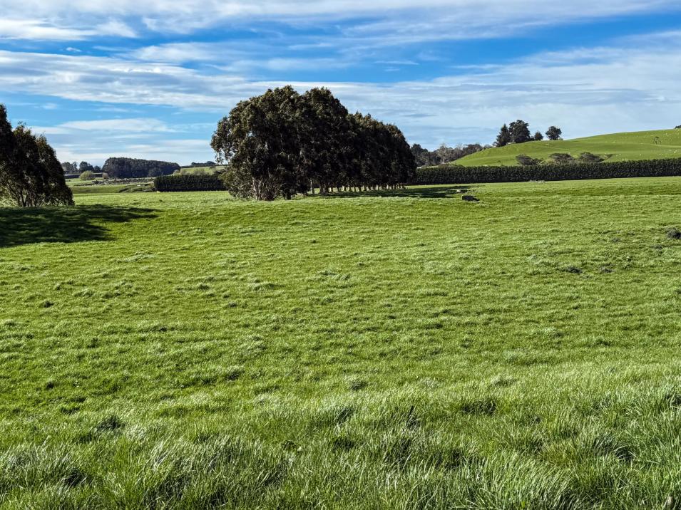 141 Mataura Island Titiroa Road, Mataura Island