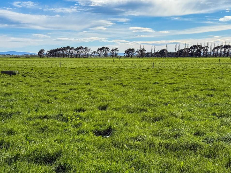 141 Mataura Island Titiroa Road, Mataura Island
