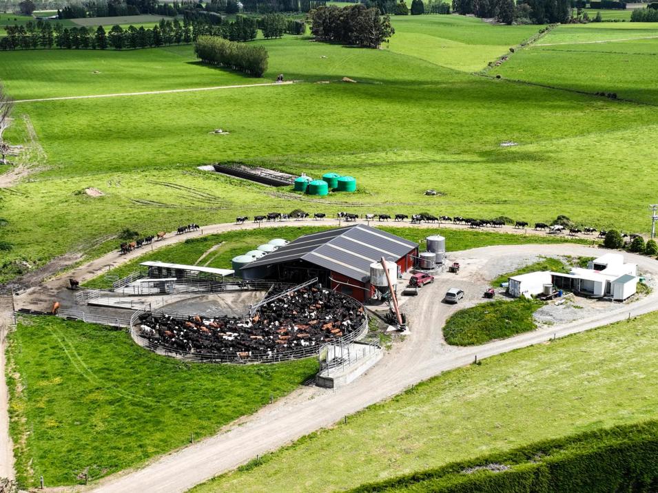 132 Guise Road, Aparima